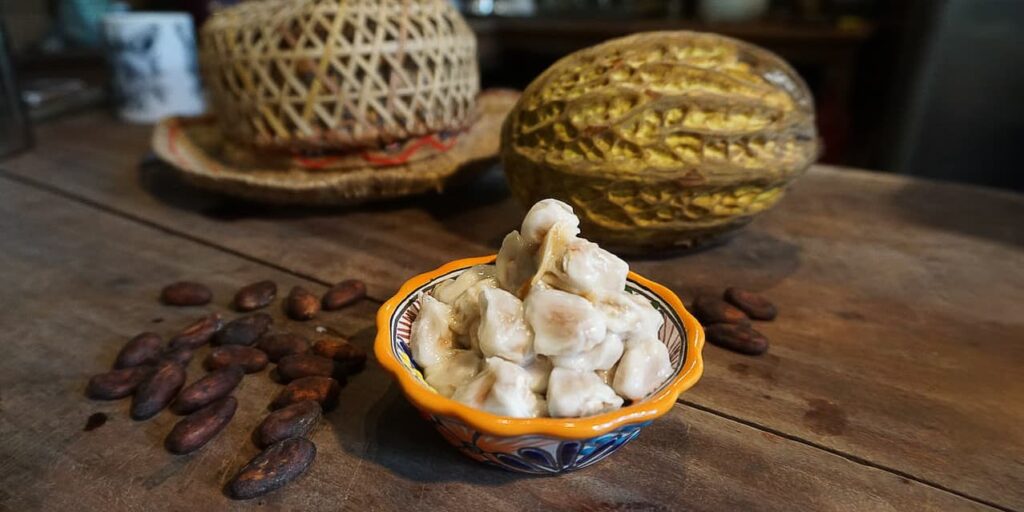 Cacao tasting at AJAW Chocolate in San Ignacio, Belize